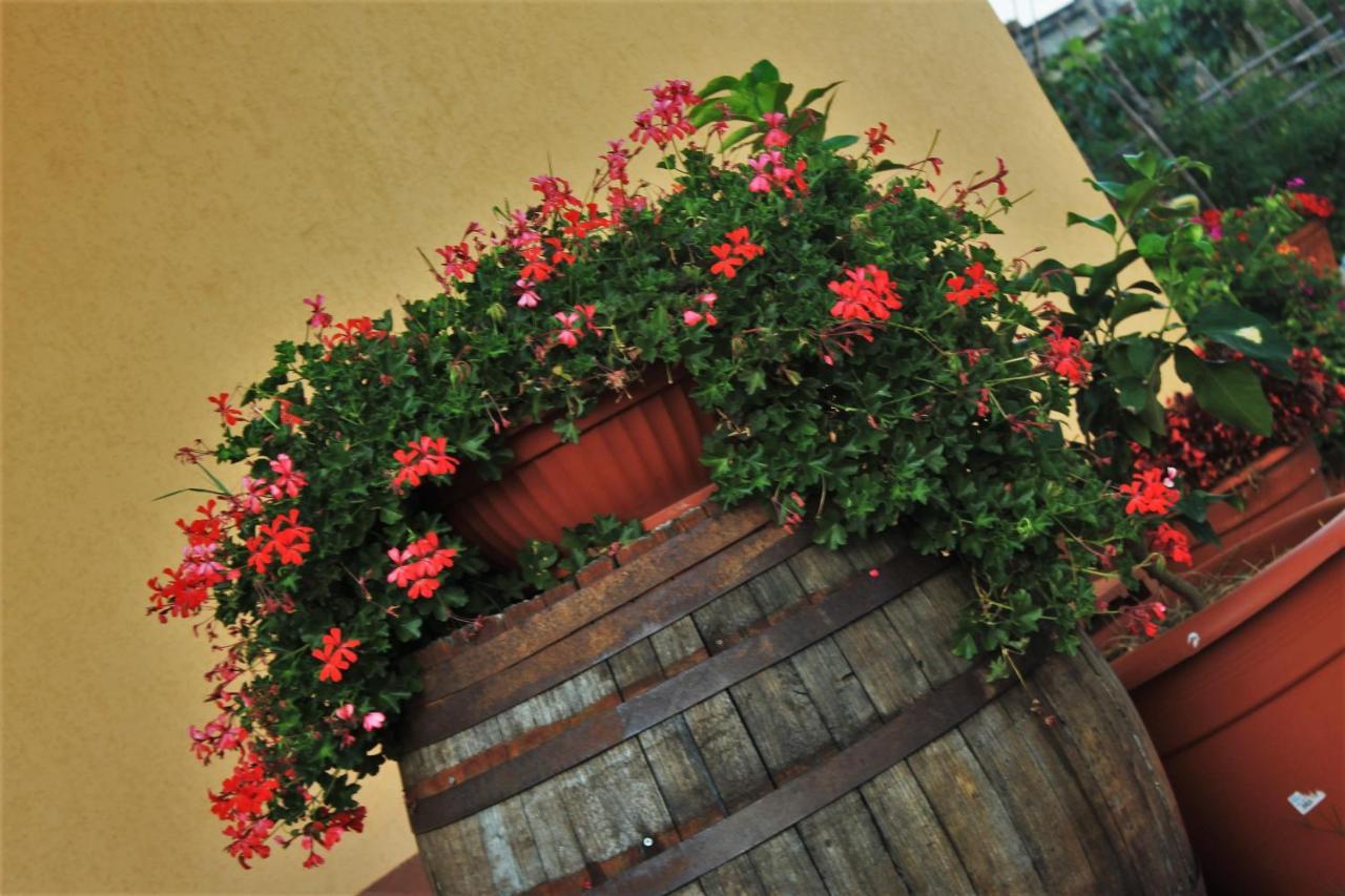 Mansarda Fiorita Bed & Breakfast Abatemarco Ngoại thất bức ảnh