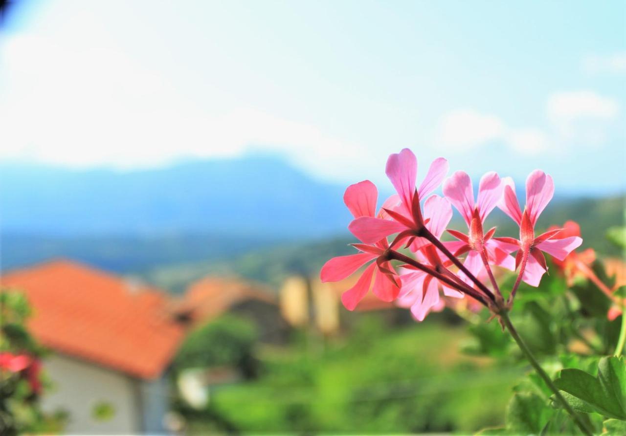 Mansarda Fiorita Bed & Breakfast Abatemarco Ngoại thất bức ảnh