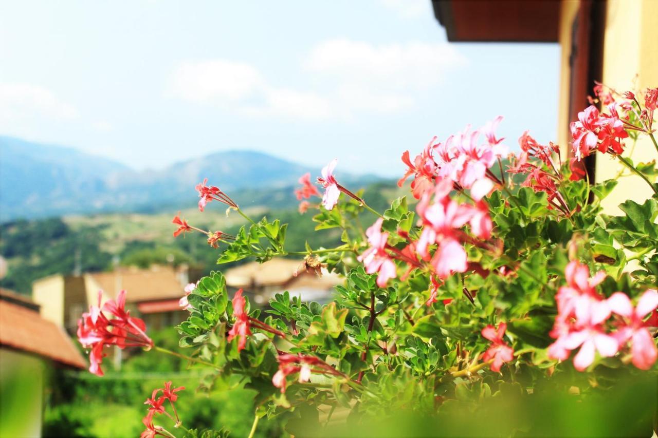 Mansarda Fiorita Bed & Breakfast Abatemarco Ngoại thất bức ảnh